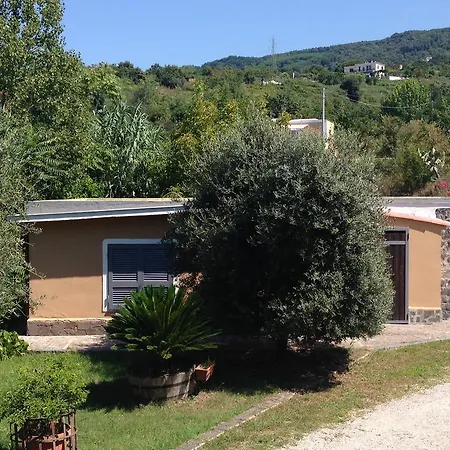 Domus Agricolae Corallina *