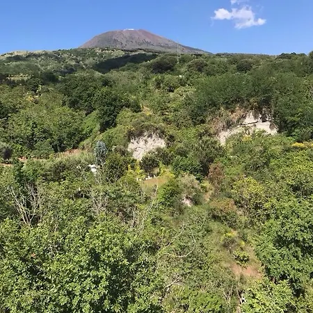 Domus Agricolae Corallina Venkovský dům Torre del Greco