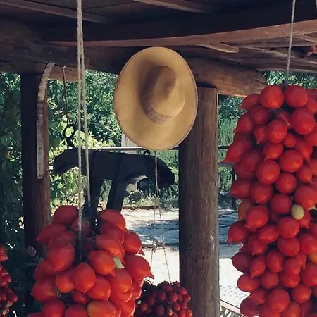 Domus Agricolae Corallina Venkovský dům